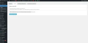 plugin wordpress de migration, génération de clé d'api
