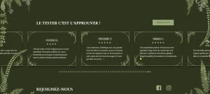 intégration avis google sur wordpress affichage